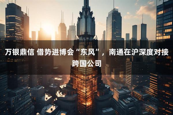 万银鼎信 借势进博会“东风”，南通在沪深度对接跨国公司