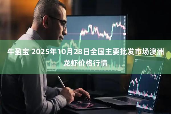 牛盈宝 2025年10月28日全国主要批发市场澳洲龙虾价格行情