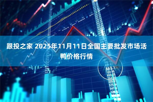 跟投之家 2025年11月11日全国主要批发市场活鸭价格行情