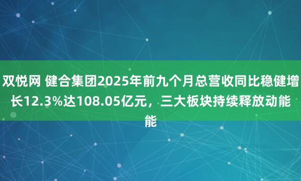 双悦网 健合集团2025年前九个月总营收同比稳健增长12.3%达108.05亿元，三大板块持续释放动能