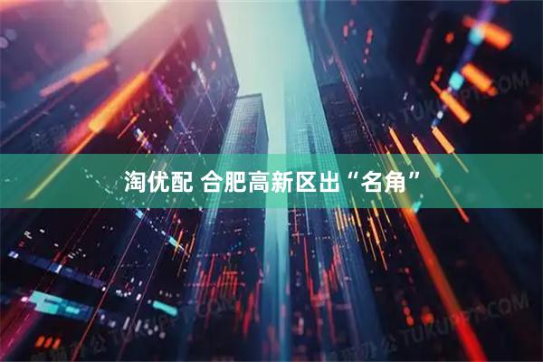 淘优配 合肥高新区出“名角”